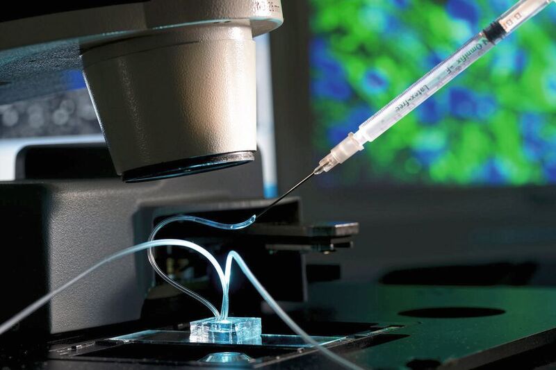Ein Fettchip unter dem Mikroskop: Über die Spritze wird ein Wirkstoff eingebracht, um das Verhalten und die Reaktion zu untersuchen. (Fraunhofer IGB)