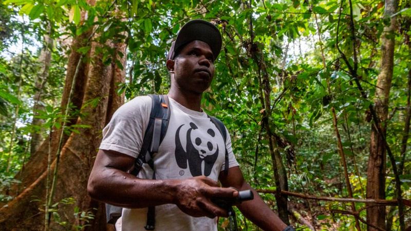 Im Einsatz für den Artenschutz: Ein WWF-Ranger durchstreift den Regenwald. Das geplante Wildlife Protection Operations Center soll solche Einsätze KI- und datenbasiert optimieren.(Bild:  Emmanuel Rondeau / WW_US)