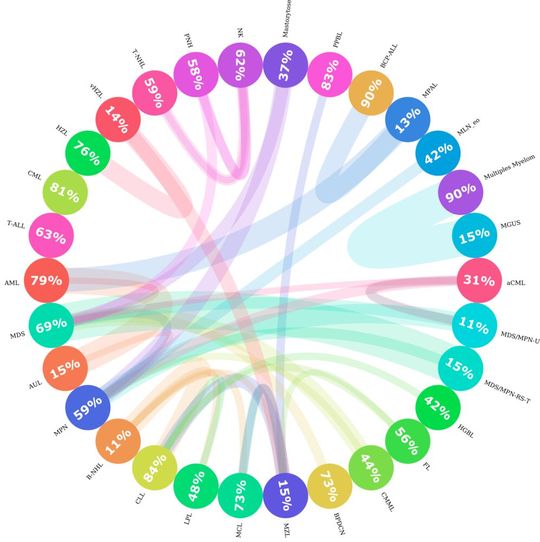 Abb. 3: Diese Abbildung zeigt, wie ähnlich die Leukämie-Subtypen einander sind. Jeder Kreis steht für einen Leukämie-Subtyp, und die Zahl gibt den Prozentsatz der Nachbarn an, die demselben Subtyp angehören. Gibt es einen signifikanten Anteil (>= 10 Prozent) von Patienten, die denen einer anderen Entität ähnlicher sind, wird eine Verbindung gezeichnet. Die Breite der Linie gibt an, wie groß der Anteil der Patienten ist, die anderen Gruppen ähneln.(Bild:  Amazon Machine Learning Solutions Lab)