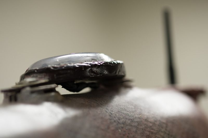 Detailaufnahme von Roboter-Fisch Grace (Michigan State University/G.L. Kohuth)
