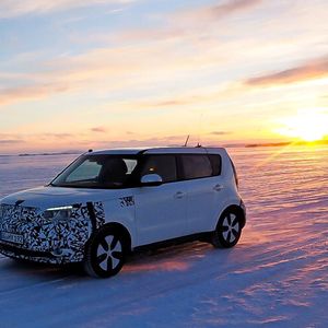 Derzeit könnte Lappland-Urlaubern dieses Exemplar über den Weg laufen beziehungsweise fahren.