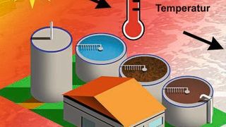 Grafische Zusammenfassung Studie zu Mikroben im Abwasser. Die Jahreszeiten beeinflussen die Temperatur. Diese beeinflusst aber nicht direkt die Gemeinschaft der Bakterien, wohl aber die ihrer Räuber. Folglich beeinflusst die Gemeinschaft der Räuber indirekt die Gemeinschaft der Bakterien und vermutlich die Effizienz der Wasseraufbereitung.  (Bild: Universität zu Köln)