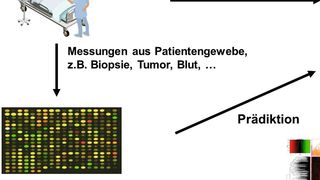 Abb. 1: Flussdiagramm zur Grundidee der Personalisierten Medizin: Von einem Patienten werden in der Diagnostik verschiedene Biomarker analysiert. Dies können genomische Daten, Expressionsdaten (Transkriptom) oder andere Omics-Daten sein. Durch den Abgleich mit Studiendaten wird eine Subgruppe von Patienten mit ähnlichen Parametern identifiziert, um eine Aussage über den Therapieerfolg treffen zu können. (Ausschnitt) (Universitätsmedizin Göttingen)