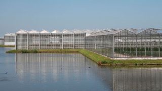 Heavy metals, microplastics, and antibiotic resistance genes increasingly co-occur in greenhouse soils, creating a combined contamination risk that challenges sustainable food production in high-intensity facility agriculture. (Source: free licensed)