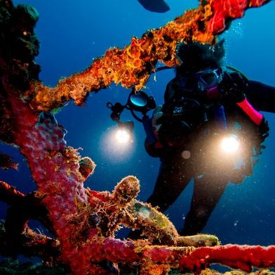 Antriebe, die beispielsweise in der Tiefsee zum Einsatz kommen, haben spezielle Anforderungen, die sich nicht über Standardsortimente realisieren lassen. (Bild: frei lizenziert / Jack Drafahl)