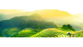 In South Korea, 82% of adults have a higher-education degree and the ratio of enrolled six-year-olds is 100%. Furthermore, South Korea is believed to have the worldwide highest IQ on average.  (© vutuankhanh/Fotolia.com)