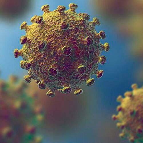 Halden's technique boasts high sensitivity, with the potential to detect the signature of a single infected individual among 100 to 2 million persons. To accomplish this, wastewater samples are screened for the presence of nucleic acid fragments of the Sars-Cov-2 virus.