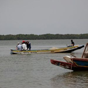 In Gambia, dem kleinsten afrikanischen Land, ist Fischerei die Haupteinnahmequelle für viele Familien, die entlang des Flusses Gambia und an der Küste leben. Aufgrund nicht vorhandener Stromversorgung in abgelegenen ländlichen Regionen kann ihr Fang weder gekühlt noch eingefroren werden, wodurch viele Fische verderben.(Bild:  Volta View Africa)