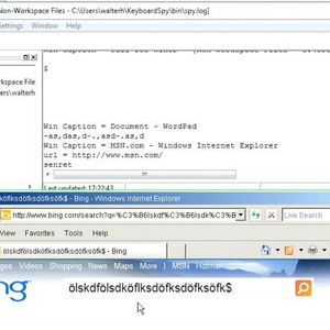 Ein Keylogger (im Bild oben) in der privaten VM kann die Eingaben in der Business-VM (im Bild unten) nicht erfassen.