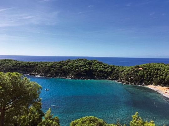 Ein Teil der Bucht von Fetovaia, wo die meisten Proben dieser Studie gesammelt wurden.(Bild:  Wiebke Mohr / Max-Planck-Institut für Marine Mikrobiologie)