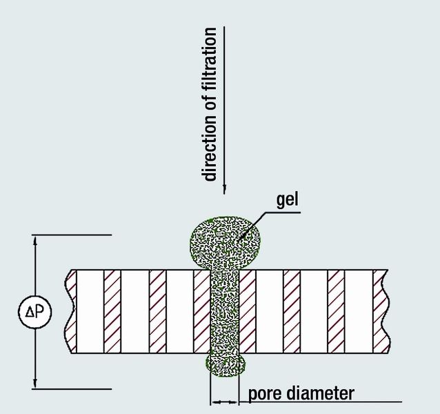 A gel particle on the surface of the filter material (Archiv: Vogel Business Media)