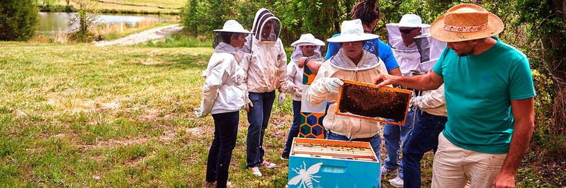 Datenvisualisierung von SAS soll im Rahmen von World Bee Count die Verteilung von Bienen rund um den Globus abbilden.(Bild:  SAS)