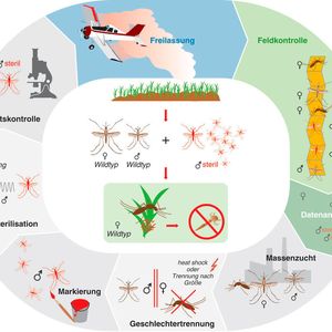 (© Foto Erika Heil)