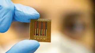 Ein neuartiger Mikrofluidik-Multiplex-Biosensor trägt auf einem Polymerfilm befestigte Proteine, die Antibiotika erkennen. (Bild: Patrick Seeger)