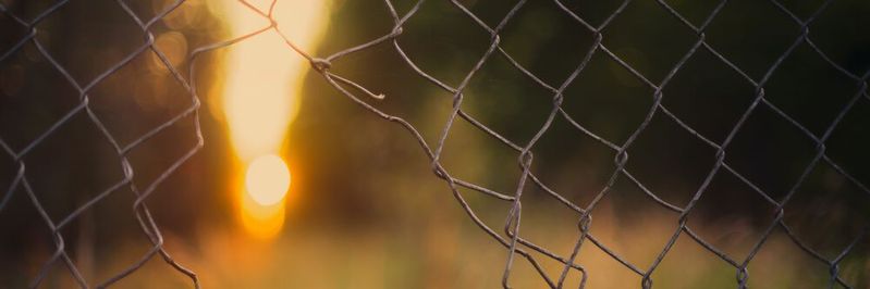 Offenheit ist wichtig, aber wie offen wünschen sich Anwendungsentwicklerinnen und -entwickler Software? Offenheit ist wichtig, aber wie offen wünschen sich Anwendungsentwicklerinnen und -entwickler Software?