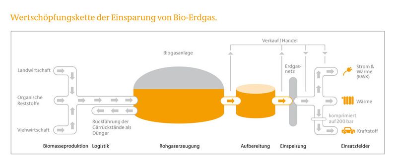 Wertschöpfungskette der Einspeisung von Biomethan. (Bild: Dena)