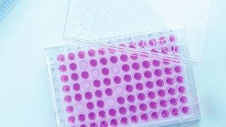 Abb. 1: Ungleichmäßige oder sehr lange Trockenzeiten sind bei Polypropylen-Mikrotiterplatten ein immer wieder auftretendes Problem. (©kazoo80 - stock.adobe.com)