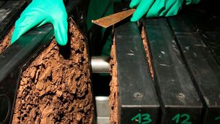 Organosolv-Lignin nach Fällung und Filtration auf der Filterpresse (Fraunhofer CBP)