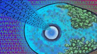 Mithilfe des Hochleistungscomputer-Cluster „Leo“ durchsuchten die Forscher mehrere Gigabyte an DNA-Sequenzen von Mikroben. (Bild: © Fabian Oswald)