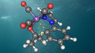 Struktur des aktiven Mangan-Katalysators in Wasser. (Universität Göttingen)