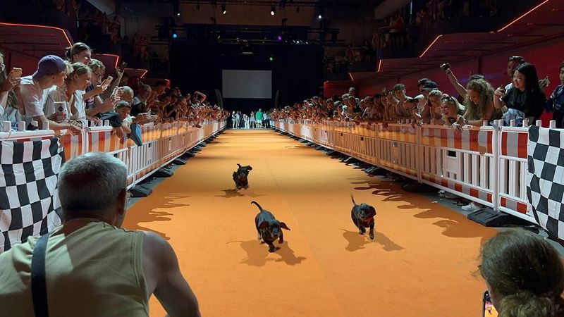 Die Strecke im Dampfdom der Motorworld München ist 40 Meter lang und mit einem griffsicheren Untergrund ausgestattet. (Bild: Kay MacKenneth)