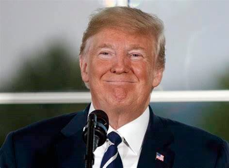 Donald Trump hat gut lachen, denn er zieht wieder ins Weiße Haus ein. Der deutschen Industrie zieht es aber eher die Mundwinkel nach unten, wenn sie daran denkt, wie abhängig sie etwa von digitalem Know-how aus den USA ist. Hier einige Umfrageergebnisse ...(Bild:  Bagonlio)