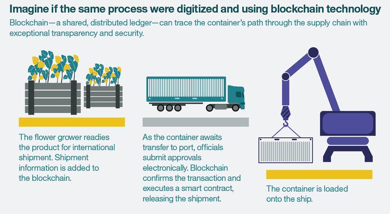 Blockchain und die Digitalisierung könnten eine große Vereinfachung bewirken.  (IBM )