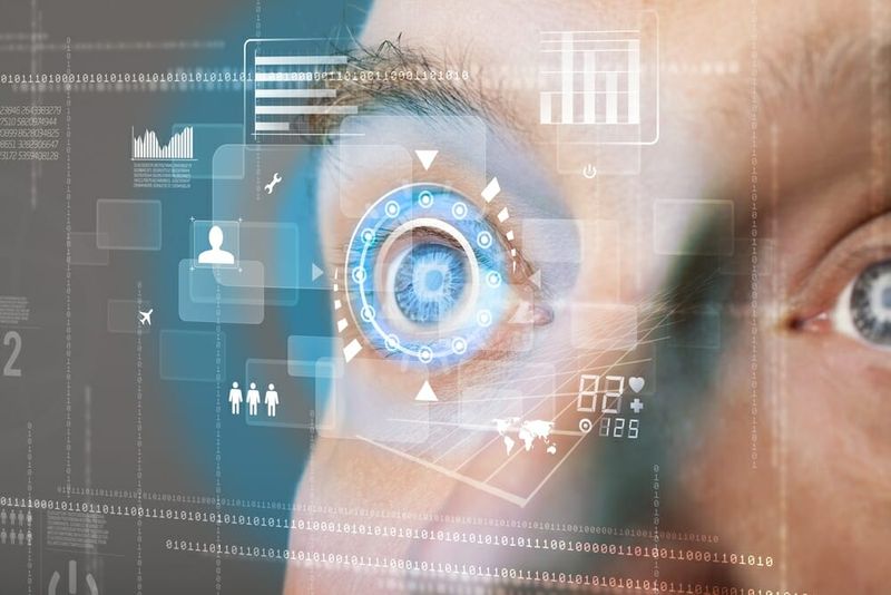 (Quelle:  ra2 studio/shutterstock)