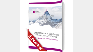 Whitepaper Cover: icCube