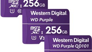 Die neue Purple Ultra-Endurance microSD von Western Digital bietet bis zu einem halben TB Speicherplatz. (Bild: Western Digital)