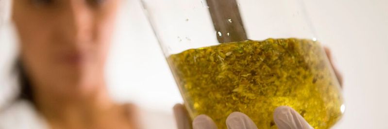 Phishing-Mails werden seit Jahren verwendet, um Hacker Angriffe auf Unternehmensnetzwerke durchzuführen. Die SIEM-Technologie soll diese Angriffe besser aufspüren können.(Bild:  gemeinfrei / Unsplash)