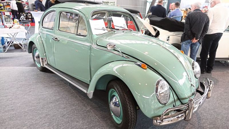 Ja, Käfer sind wahrlich beliebt. (Bild: Dominsky –  »kfz-betrieb«)