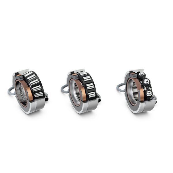  (Schaeffler)