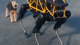 Der Roboter Spot imitiert einen Hund. Jetzt gehören die Roboter von Boston Dynamics zum japanischen Konzern Softbank. (Steve Jurvetson)