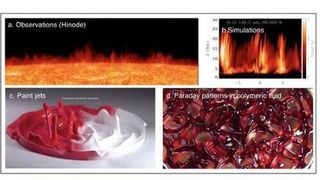 The laboratory experiments were conducted at the Azim Premji University, India.  (IIA)