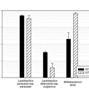 Abb. 2: Maximale Überlebensraten für Lactobacillus paracasei, Bifidobacterium lactis und Lactobacillus delbrueckii ssp. bulgaricus bei einem Restfeuchtegehalt von 6 bis 7% in Abhängigkeit von der Trocknungsmethode (Niedertemperatur-Vakuumtrocknung (NTVT) und Gefriertrocknung (GT) [2]. 
