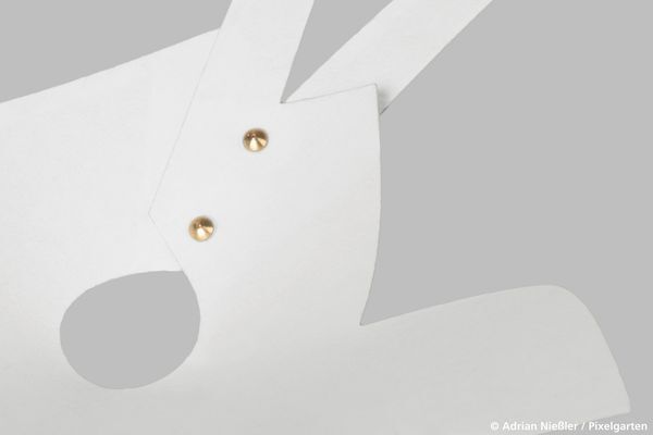 Das Fraunhofer IAP hat 