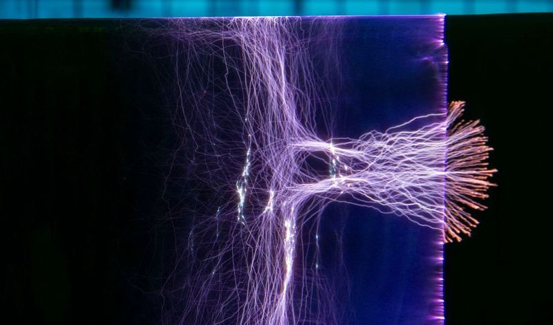 Siemens-Forscher setzen Generatorstäbe aus Kunststoff einer Spannung von 70.000 V aus, um ihre Belastbarkeit zu prüfen. Die dabei entstehenden Teilentladungen lassen bizarr-spektakuläre Strukturen entstehen. (Siemens AG, Pictures of the Future)