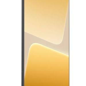 Das 6,73 Zoll große Amoled des Xiaomi 13 Pro löst mit WQHD+ auf und bietet Spitzenhelligkeiten von 1.200 Nits.(Bild:  Xiaomi)