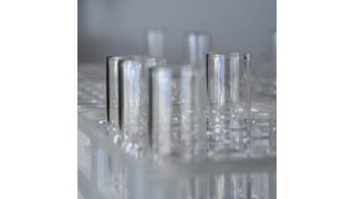 A recent Finnish study investigated the effects of A2 milk, marketed as a gut-friendly alternative, and protein-hydrolyzed lactose-free milk on gastrointestinal symptoms and inflammation levels.  (Source: University of Turku)