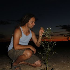 (Bild: Danny Kessler, MPI chem. Ökol.)