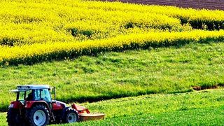 Auslöser von zu hohen Nitrat-Werten im Grundwasser sind häufig stickstoffhaltige Düngemittel aus der Landwirtschaft. (Symbolbild) (Bild: gemeinfrei)