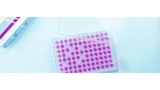 Abb. 1: Ungleichmäßige oder sehr lange Trockenzeiten sind bei Polypropylen-Mikrotiterplatten ein immer wieder auftretendes Problem. (©kazoo80 - stock.adobe.com)