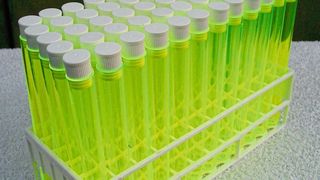 Unsere Welt besteht aus 118 Elementen - 44 von ihnen werden in den kommenden Jahren knapper werden. Mit den Prinzipien der "Grünen Chemie" können Pharma- und Biotechnologie-Unternehmen ihren Beitrag leisten, auch Elemente zu recyceln.

 (gemeinfrei)