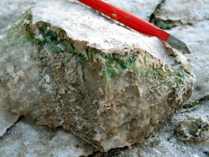 Die Blaugrüne Felskugel (Chroococcidiopsis) lebt überall auf der Welt in den obersten Schichten von Steinen, wie in diesem aufgebrochenen Gipsstein aus dem niedersächsischen Bad Sachsa. (Burkhard Büdel, TU Kaiserslautern)