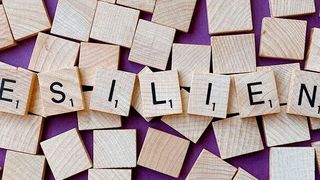 Das Fazit der Forschenden: Wer nachhaltige Maßnahmen zur Steigerung der Resilienz einführt, bleibt selbst in Krisen innovativ und erfolgreich. (gemeinfrei)