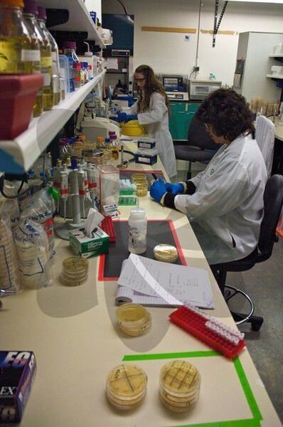 “In layman’s terms, these inventions, and others addressed in Gevo’s pending patent applications, help to turn an industrial yeast strain into a highly efficient cell factory to produce isobutanol,” said Brett Lund, EVP & General Counsel of Gevo.  (Picture: Gevo)