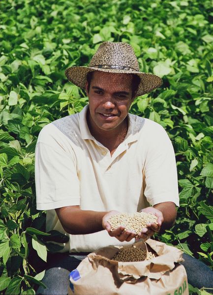 Der BASF-Wirkstoff F 500 ist seit seiner Markteinführung besonders in Brasilien im Einsatz. Produkte mit F 500 helfen brasilianischen Sojabauern, eine verheerende Pilzkrankheit zu bekämpfen: den Asiatischen Sojabohnenrost. (Bild: BASF)