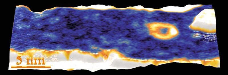 Rastertunnelmikroskopie-Messung der Probenoberfläche: Ein magnetisches Skyrmion ist hier als goldener Ring zu erkennen. Die ferromagnetische Ausrichtung im Kobaltfilm außerhalb des Skyrmions ist blau eingefärbt, das Zentrum des Skyrmions ist hier ebenfalls blau. Diese dreidimensionale Ansicht zeigt in weiß eine atomare Stufenkante (links unten) und eine atomar hohe Insel (rechts oben). Der Balken unten links im Bild hat eine Länge von 5 nm. (A. Kubetzka, Universität Hamburg)