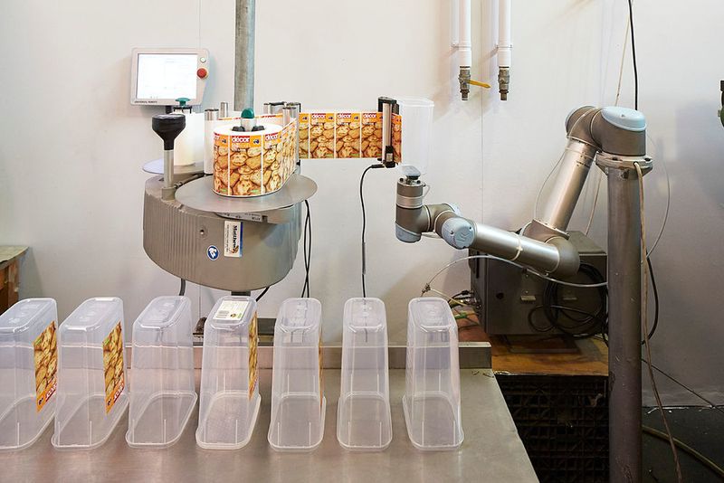 Der UR5 bewegt beim australischen Unternehmen Prysm Industries, einem kleinen, familiengeführten Betrieb, der im Kunststoffspritzguss tätig ist, einen Lebensmittelbehälter durch den Etikettiervorgang, bevor er ihn auf dem Tisch absetzt. (Ian van der Wolde)